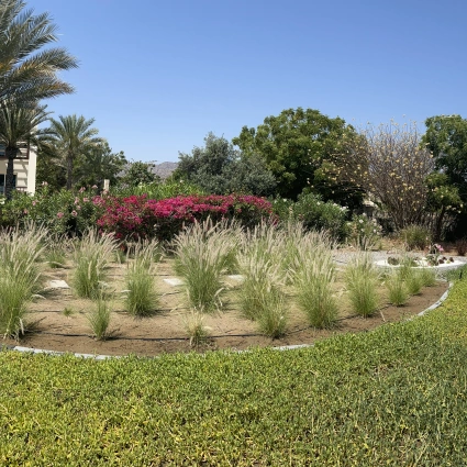 Paysagiste : conception paysagère sur mesure