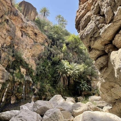Oman pays des wadis