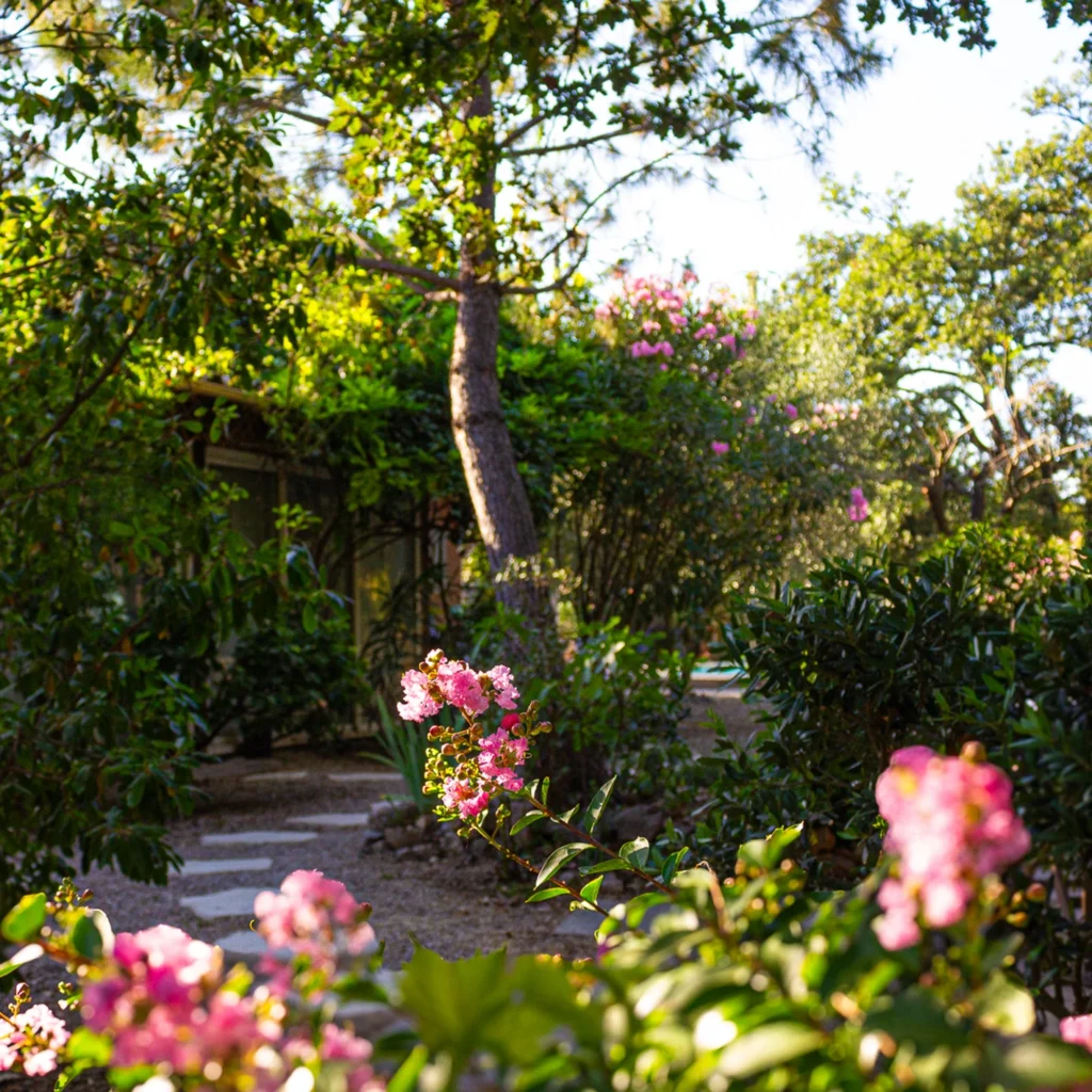 Galerie photos avant/après : nos aménagements paysagers déjà réalisés