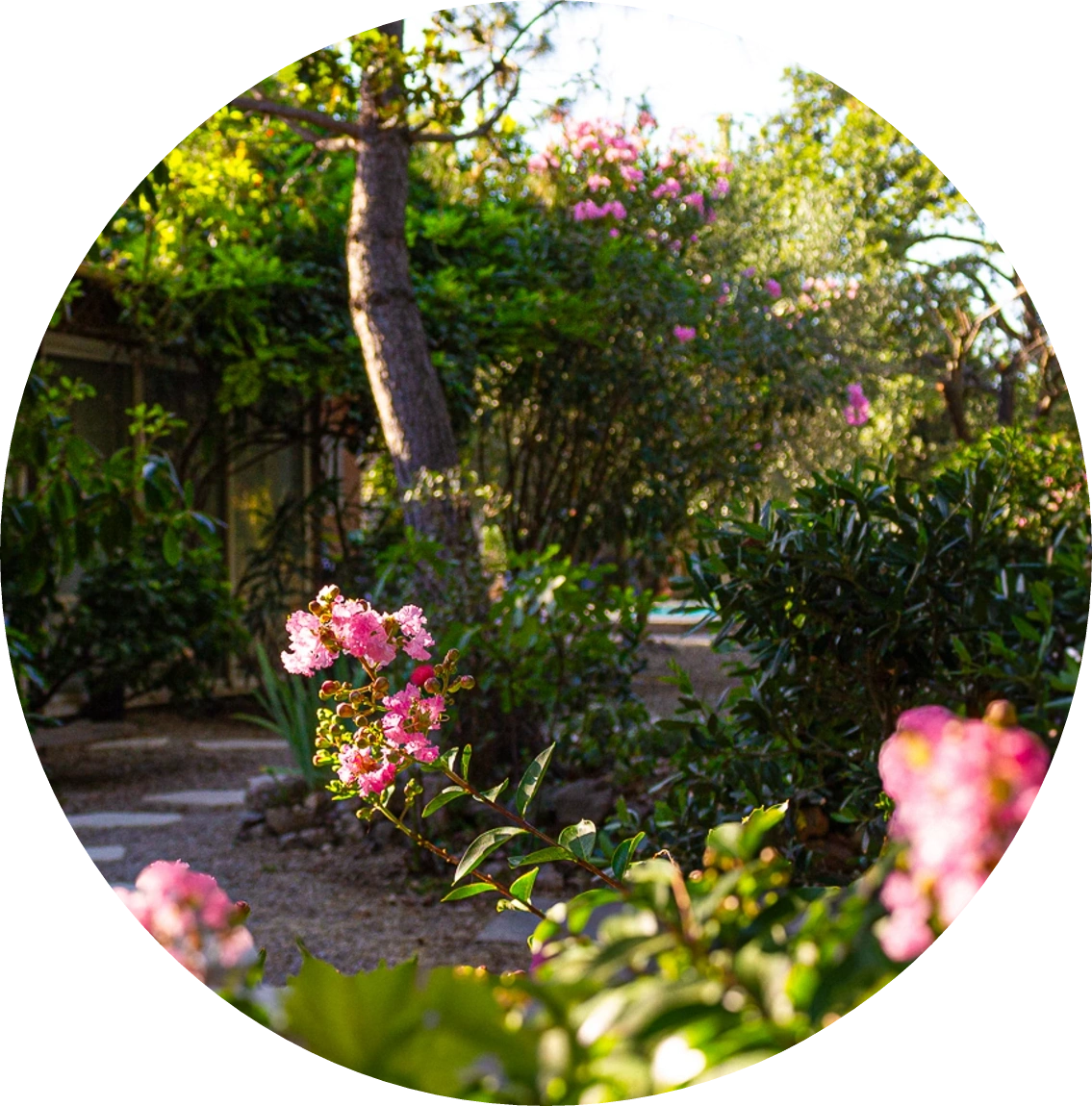 notre savoir-faire au service de vos projets d'aménagements paysagers.