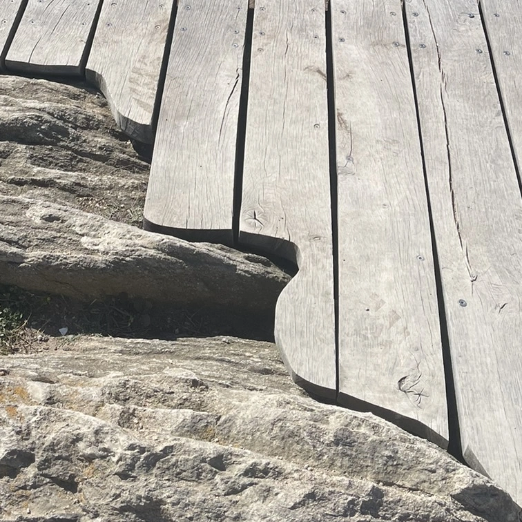 Terrasse à la pointe du Grouin, Bretagne (détail)